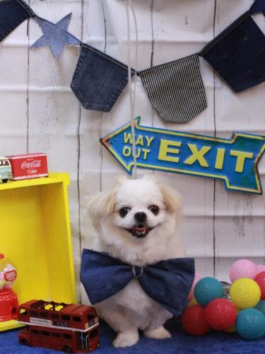 20230401莉翔くん